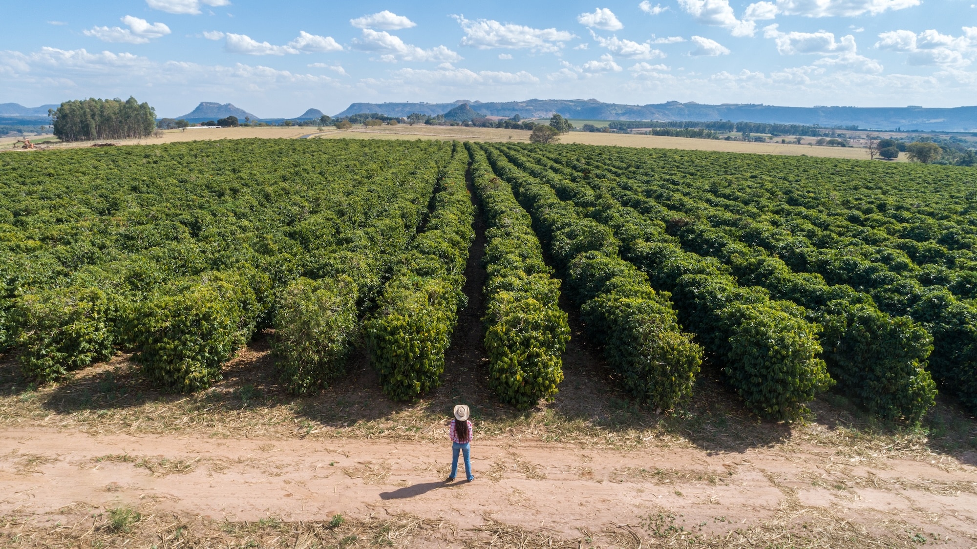 Mereti_farmland_2