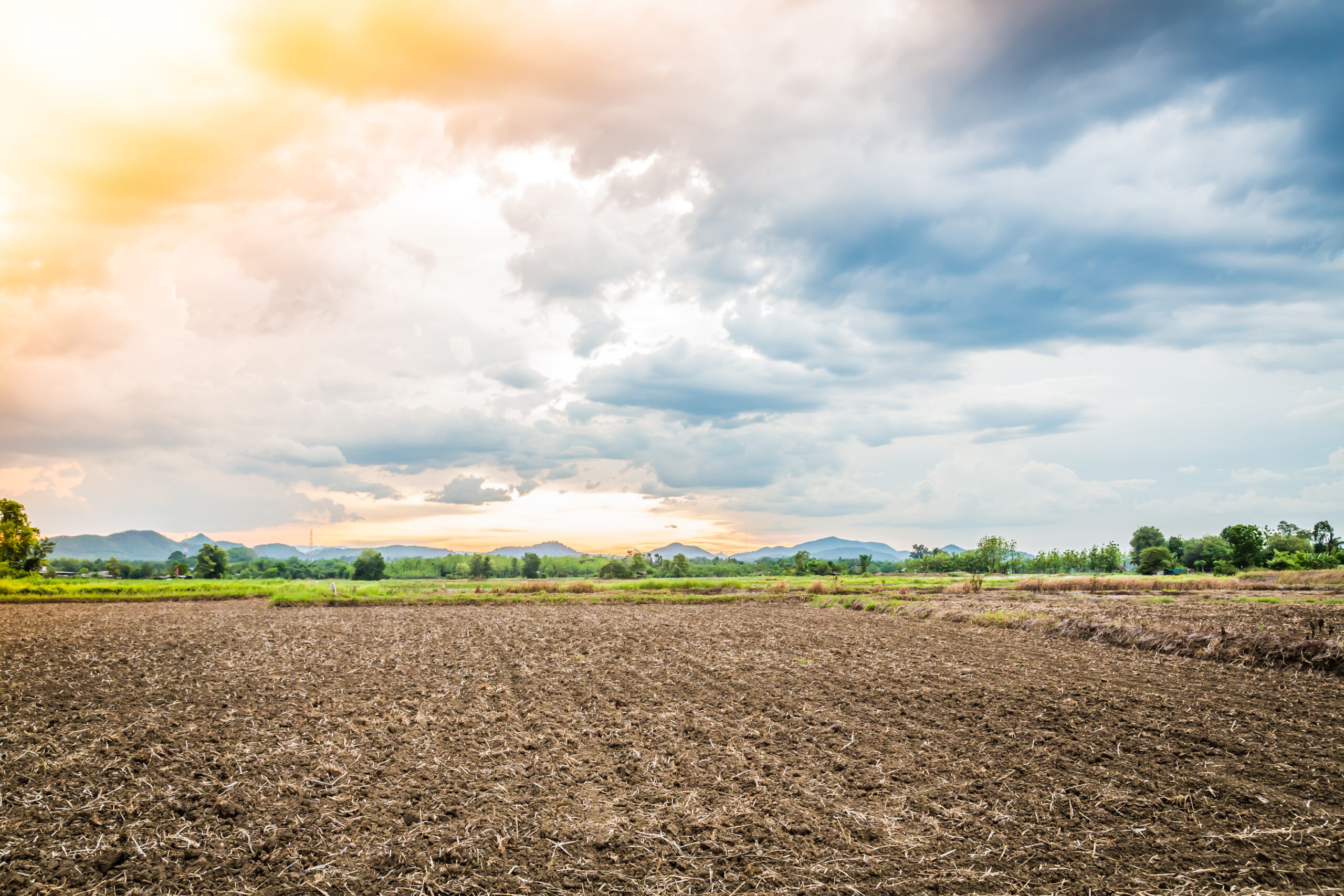 mereti_farmland